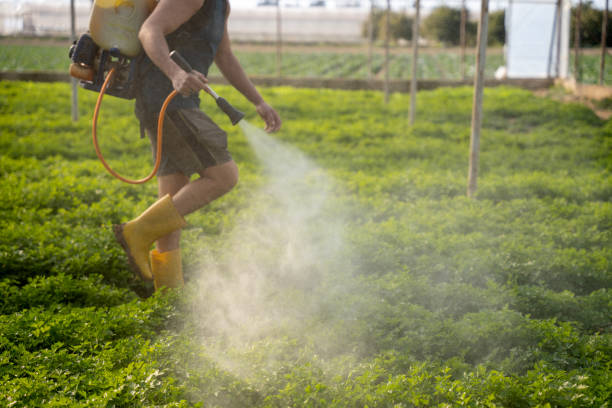 Best Exterminator Services  in Peosta, IA