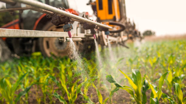 Best Best Pest Control Companies  in Peosta, IA